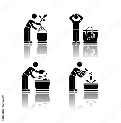 Indoor gardening stages drop shadow black glyph icons set. Plant cultivation. Replanting, repotting plants. Wilting flower. Preparing soil for planting. Isolated vector illustrations on white space