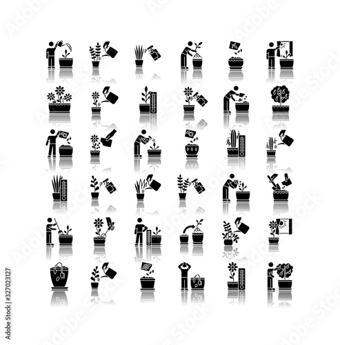 Houseplant care drop shadow black glyph icons set. Indoor gardening. Plant cultivation. Repotting, replanting. Planting seeds. Watering, soil fluffing. Isolated vector illustrations on white space