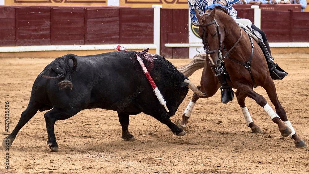 Toreo a caballo en la plaza de toros durante la feria en la fiesta nacional. Toreo a caballo en la plaza de toros durante la feria en la fiesta nacional.