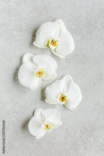 Beautiful tropical orchid flowers on marble grey background. Flat lay, top view
