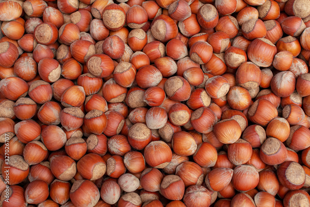 This is the food background of hazelnuts. Solid brown natural background consists of a scattering of nuts This is the food background of hazelnuts. Solid brown natural background consists of a scattering of nuts