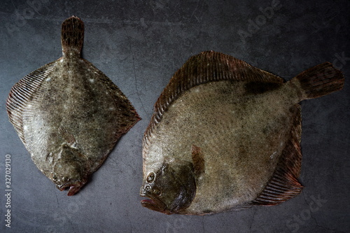 Fresh fish flounder on a dark background