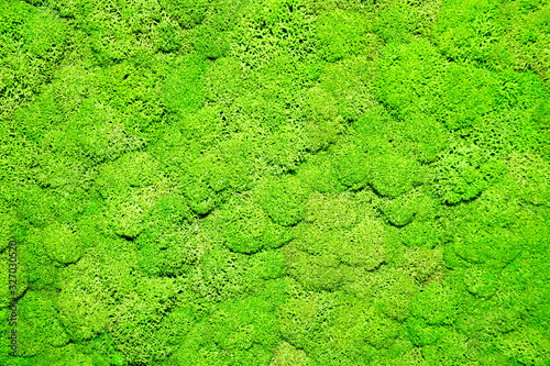 green moss for the background. green decor