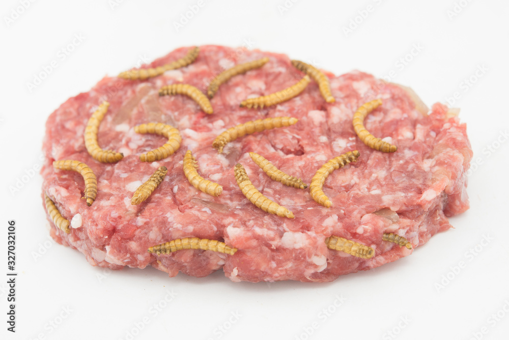 Burger with endible worm in white background Burger with endible worm in white background