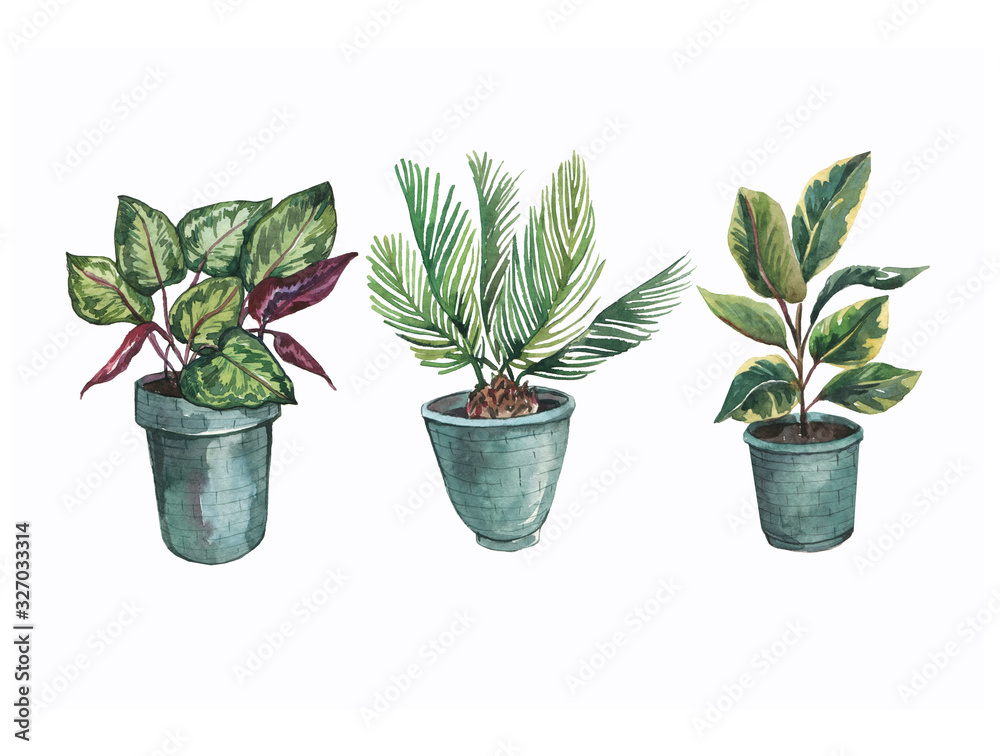 Watercolor flower pots with green plants. Gardening, garden and orchard, indoor plants, green leaves, branches. Garden pots. Watercolor flower pots with green plants. Gardening, garden and orchard, indoor plants, green leaves, branches. Garden pots.