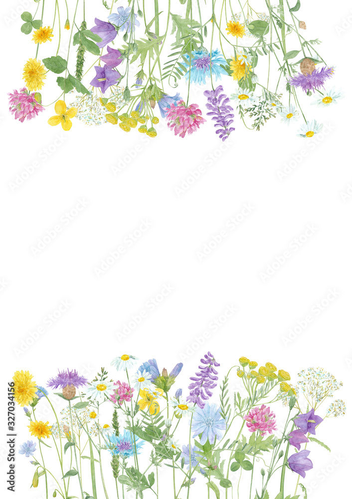 Watercolor hand drawn floral summer frame with copy space and wild meadow flowers (clover, bluebell, cornflower, tansy, chamomile, cow vetch, dandelion etc.) isolated on white background
