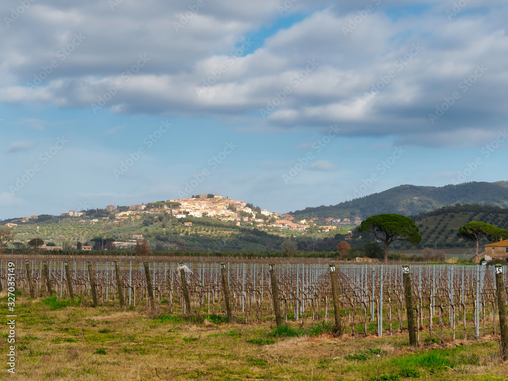 Panorama from the Bolgheri vineyards towards Castagneto Carducci Tuscany Italy