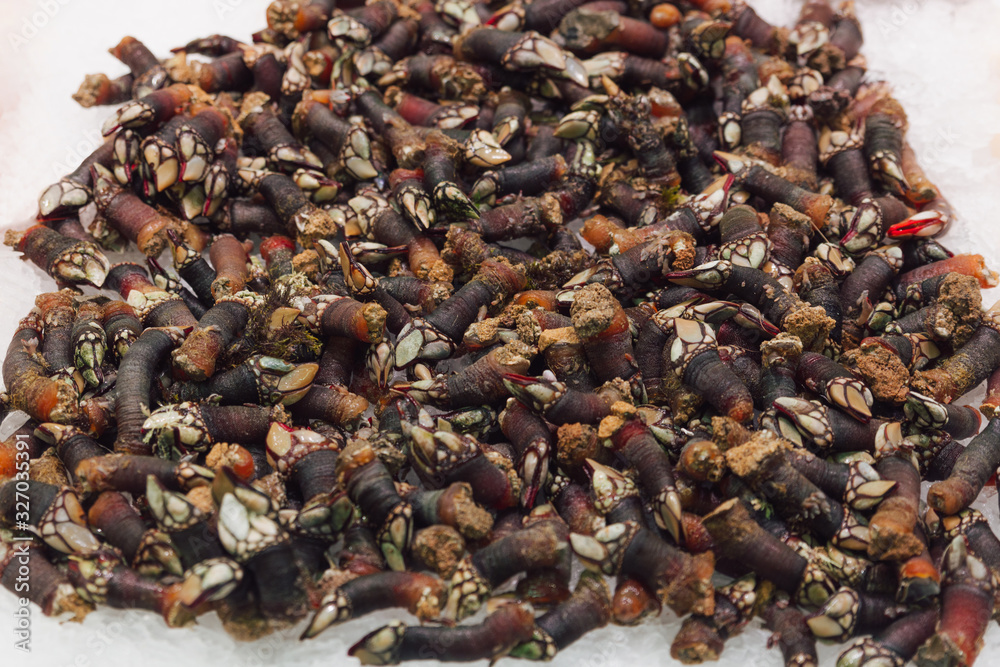 Stock photo of a close-up of a pile of barnacles at a Spanish market stall Stock photo of a close-up of a pile of barnacles at a Spanish market stall