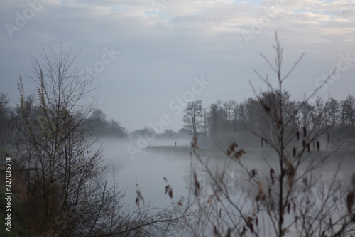 hunte im nebel photo