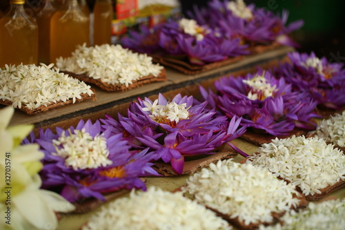 flower petals in garden  Sri Lanka