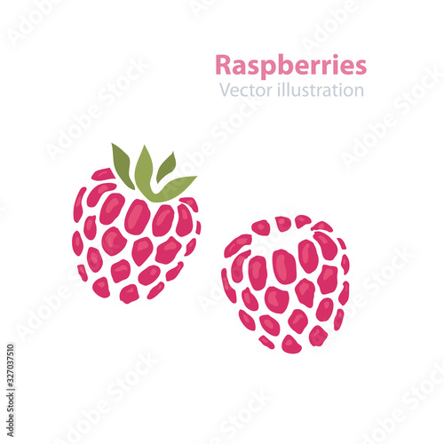 Raspberry vector illustration of fresh berries
