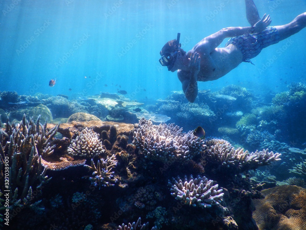 Φωτογραφία Colourful Corals at Drawaqua Island – Freediving at Yasawa Islands Fiji