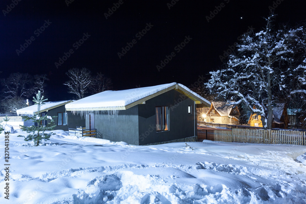Cottages in the winter resort of Bakuriani at night