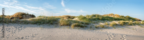 Sandy dunes as panorama background