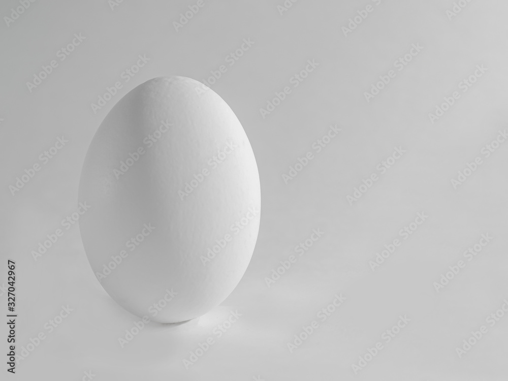 white raw chicken egg isolated on light gray background with copy space white raw chicken egg isolated on light gray background with copy space