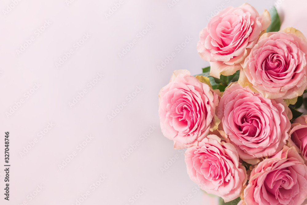 Beautiful pink roses on a soft background Beautiful pink roses on a soft background