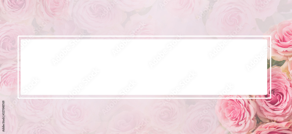 Flower frame, banner. Delicate card with pink roses on a soft white and pink background. Space for text.