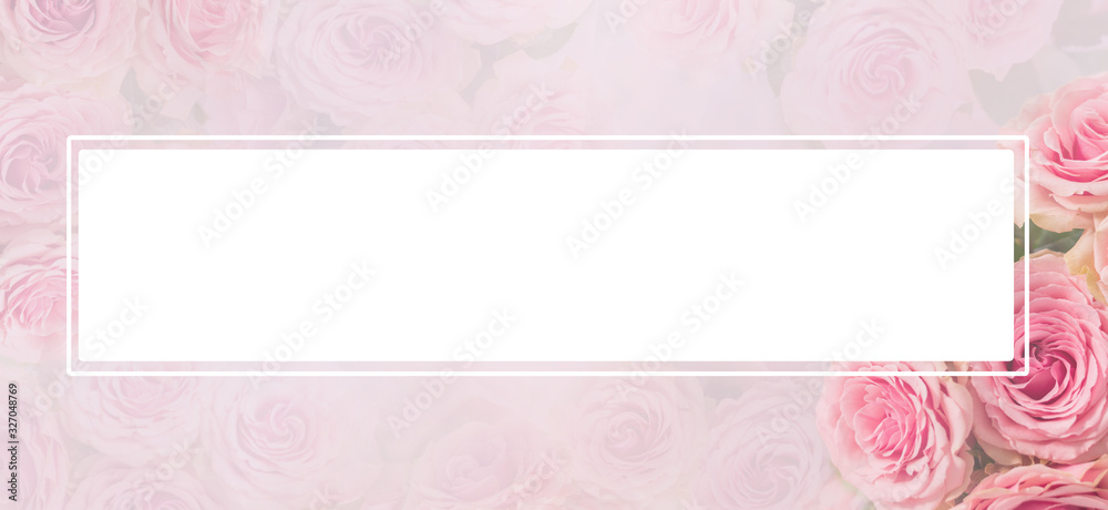 Flower frame, banner. Delicate card with pink roses on a soft white and pink background. Space for text. Flower frame, banner. Delicate card with pink roses on a soft white and pink background. Space for text.