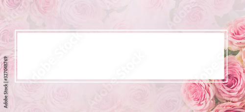 Flower frame, banner. Delicate card with pink roses on a soft white and pink background. Space for text.
