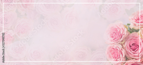 Flower frame, banner. Delicate card with pink roses on a soft white and pink background. Space for text.