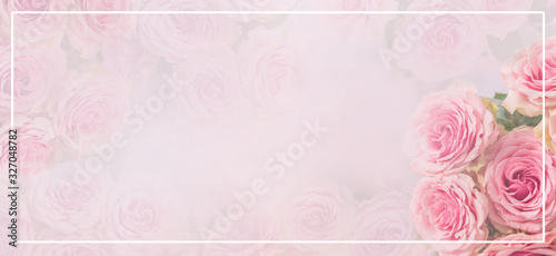Fototapeta Naklejka Na Ścianę i Meble -  Flower frame, banner. Delicate card with pink roses on a soft white and pink background. Space for text.