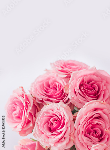 vertical floral background. Delicate postcard, frame with pink roses close-up on a white background. Space for text.