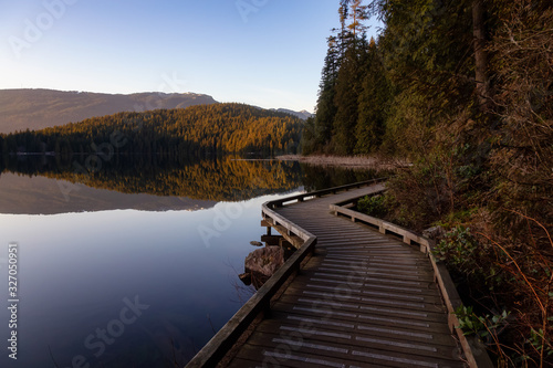 Fototapeta Naklejka Na Ścianę i Meble -  Beautiful and Vibrant Trail in the Green Woods with fresh trees near a lake during sunset. Taken in White Pine Beach, Port Moody, Vancouver, British Columbia, Canada.