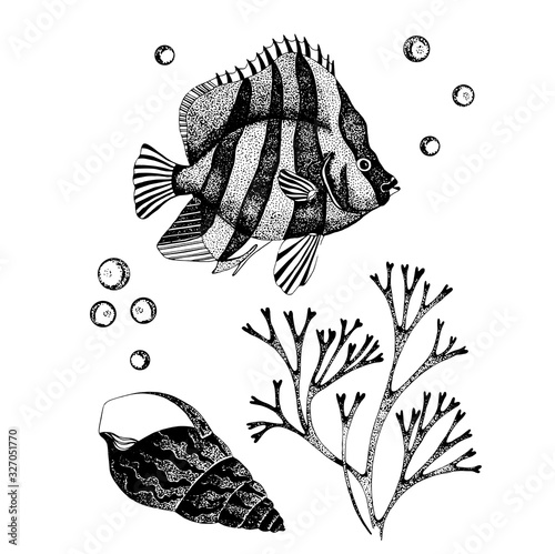 Vector hand drawn sea wildlife.