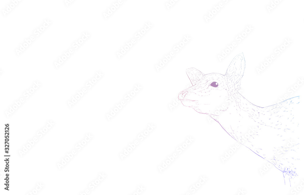 写実的な動物イラスト、虹色の雌鹿が首を伸ばす姿