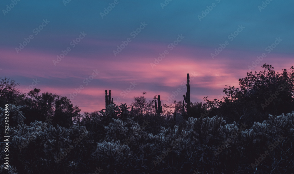 Phoenix Arizona Landscapes