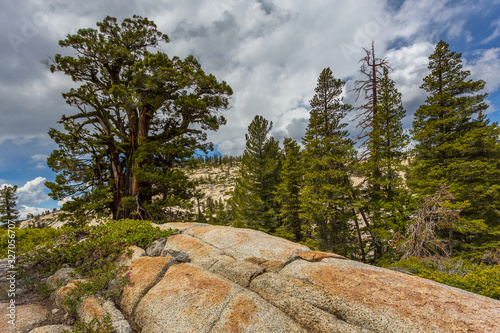 View of the Lembert Dome, California, USA. photo