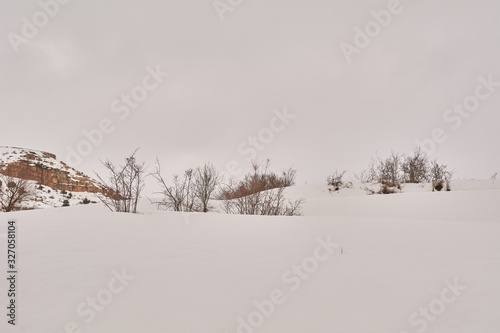 Snowy and cold mountain forest landscape © Raul