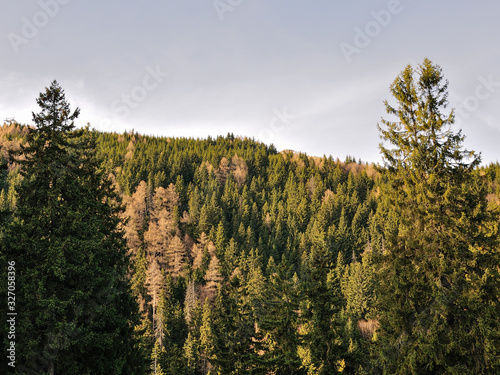  Walk in nature on Sunday