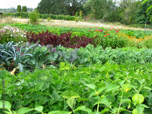 Farm garden