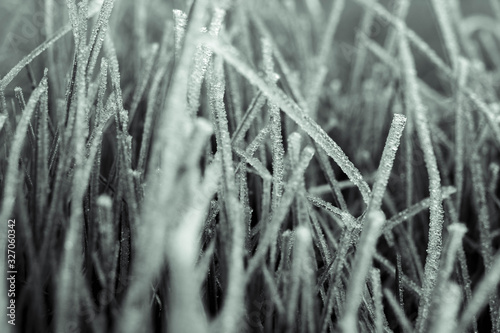 Macro on grass with frost and and drops of water. Close up on grass. Frost with drop of water