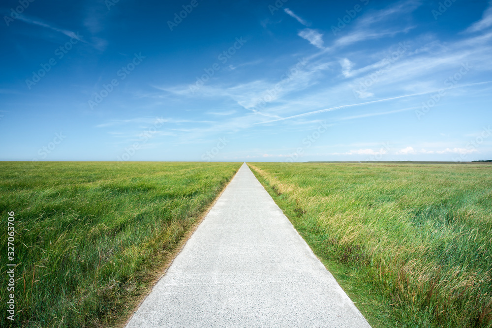 Long straight road along grassland