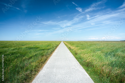 Obraz na płótnie Long straight road along grassland w salonie