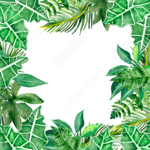 Watercolor hand painted nature tropical squared border frame with different green palm jungle leaves on the white background for invitations and greeting card with the space for text