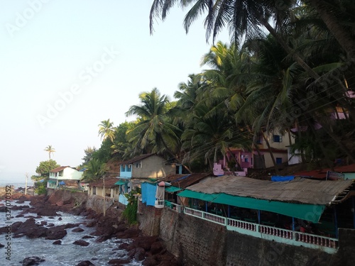  tropical shoreline 
