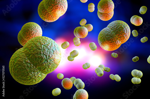 Meningitis Bacteria Infection 3D Illustration