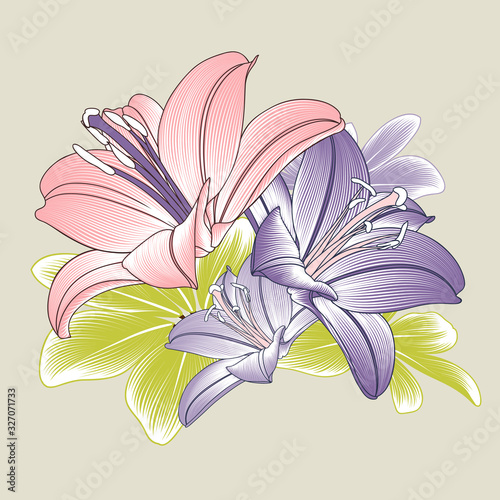 Delicate floral background with lily flowers and green leaves. Vector elements for creating cards, flyers, greetings.