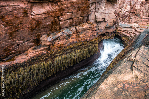 Thunder Hole Acadia photo