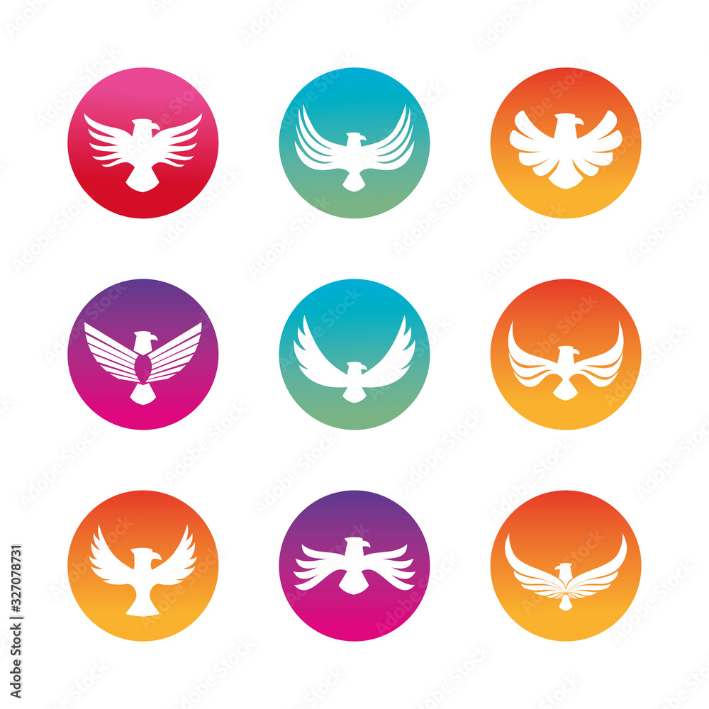 Isolated eagle bird silhouette block style icon set vector design