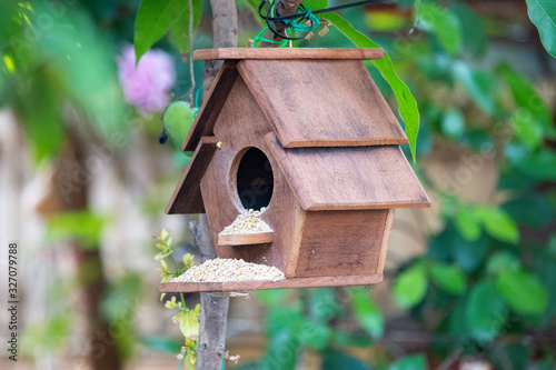 Bird house is in the garden