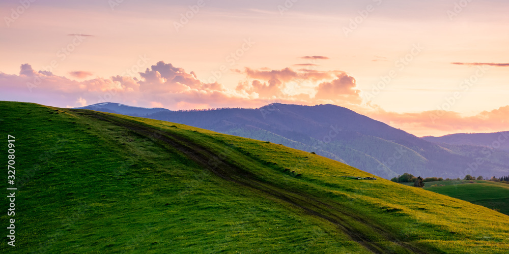 rural landscape in mountains at dusk. amazing view of carpathian countryside with dirt road through rolling hills. glowing purple clouds on the sky. calm weather in springtime