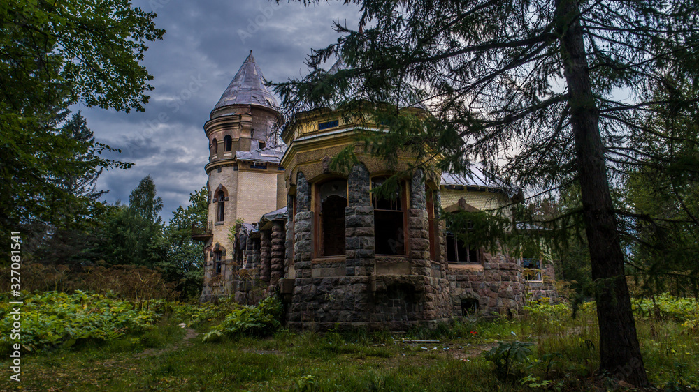 The magnificent and abandoned mansion of the merchant Eliseev, looks like a princess castle.