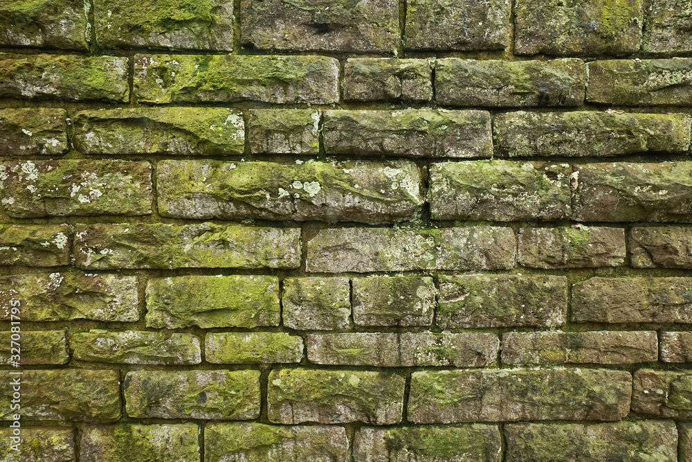 Obraz premium Natursteinmauer mit Moos