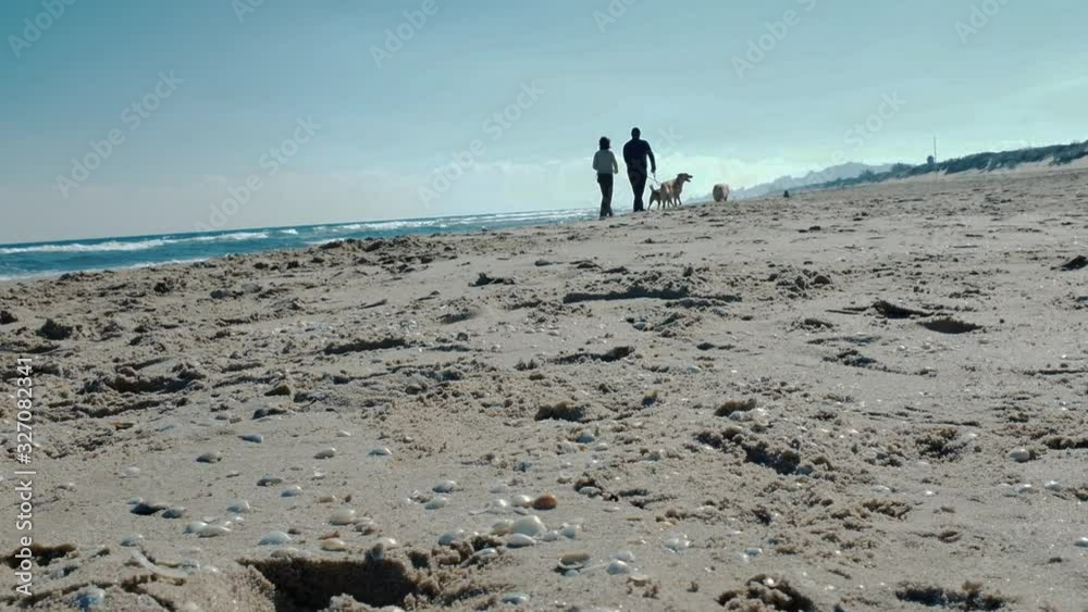 Pareja paseando a los perros por la playa