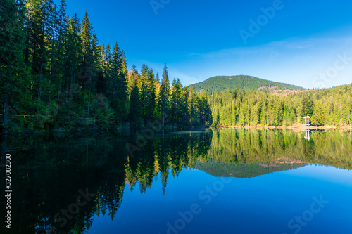 mountain lake among the coniferous forest. morning nature scenery with reflections in calm water. sunny weather with blue cloudless sky in springtime. location Synevyr national park, ukraine © Pellinni