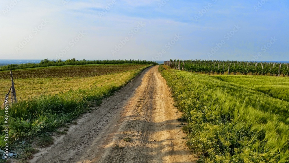 road in the field